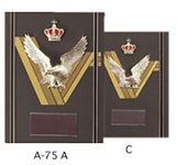 A-75
