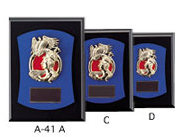 A-41